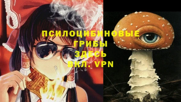 ГАЛЛЮЦИНОГЕННЫЕ ГРИБЫ Бугульма