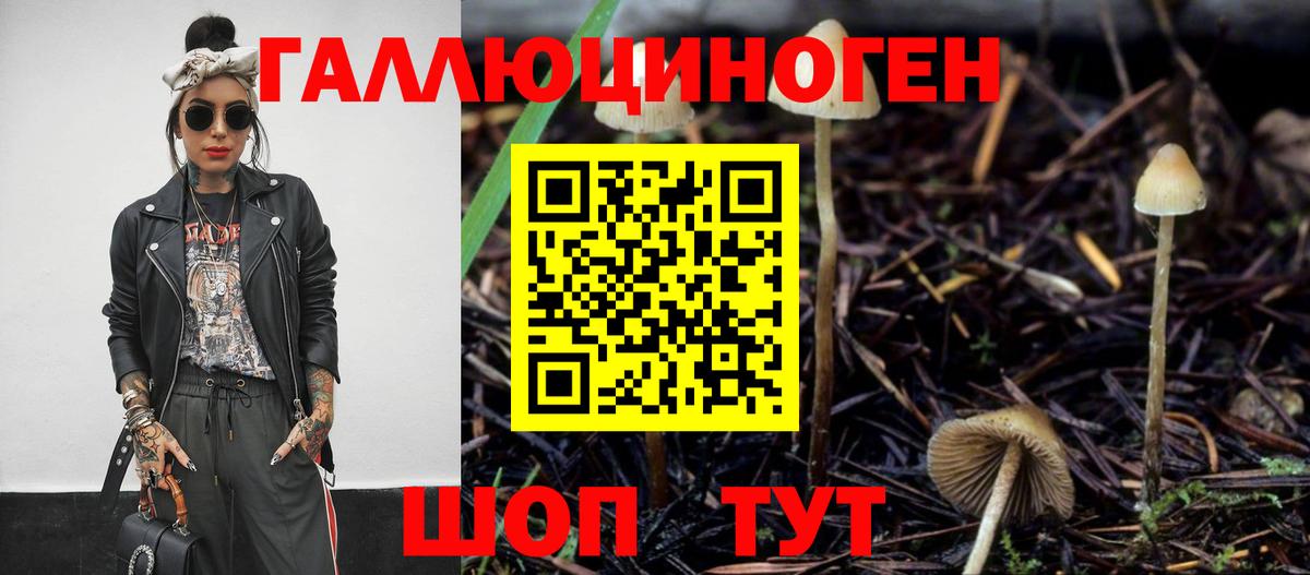 Псилоцибиновые грибы MAGIC MUSHROOMS Горно-Алтайск