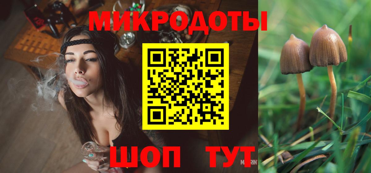 Псилоцибиновые грибы прущие грибы Горно-Алтайск